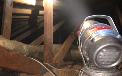 Corona Virus – 5 Reasons to Disinfect an Attic