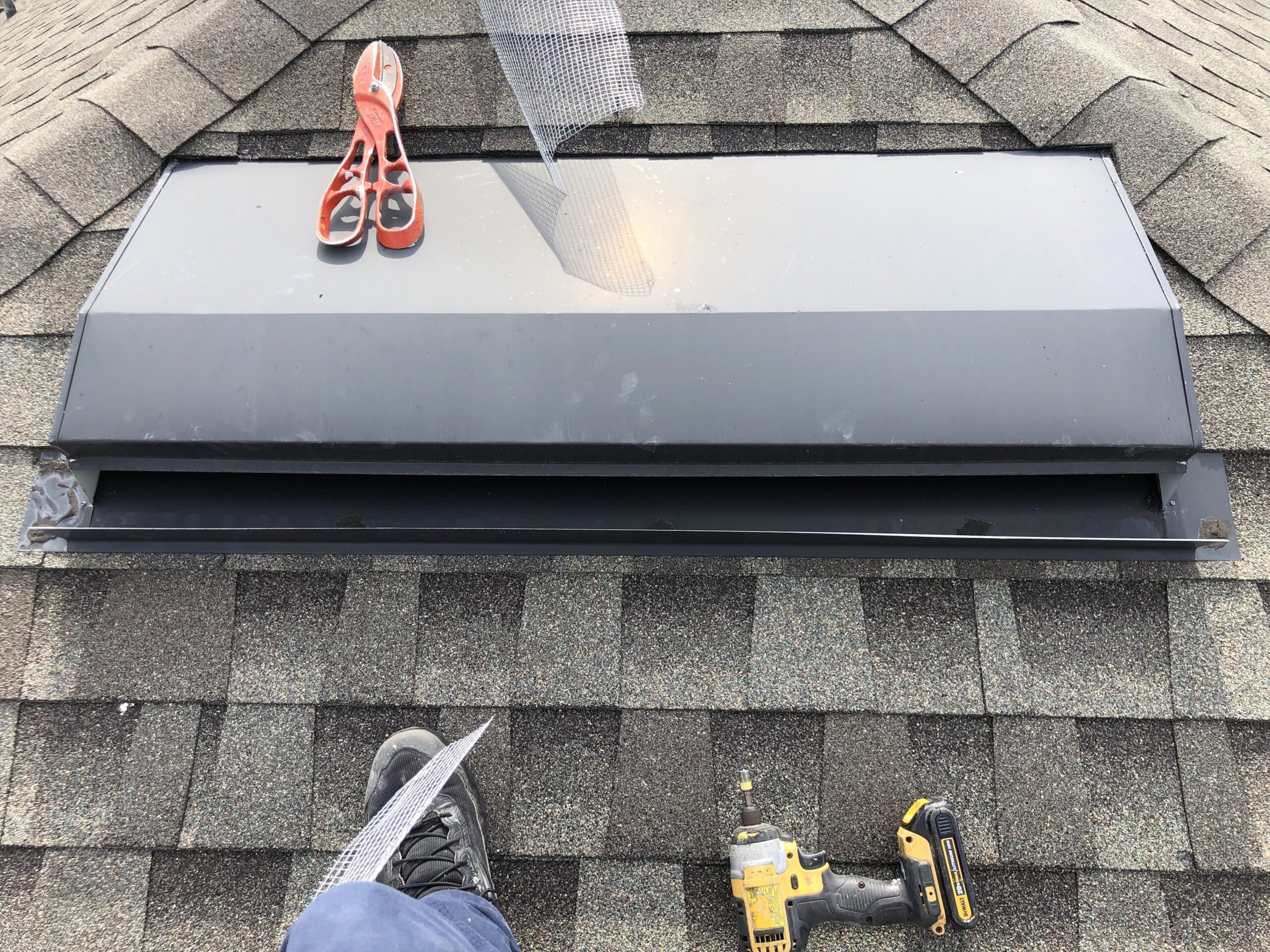 Bat proofing on a roof vent